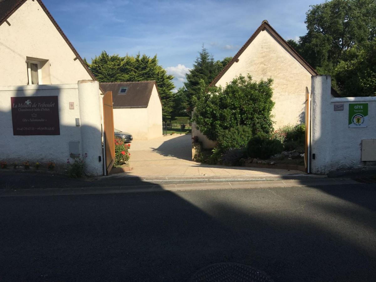 La Maison De Triboulet Chambres Et Table D'Hotes -Amboise- Pocé-sur-Cisse Екстериор снимка